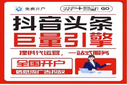 网络推广与竞价优化成功案例